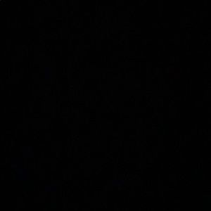 Meet your Posher, Lizet